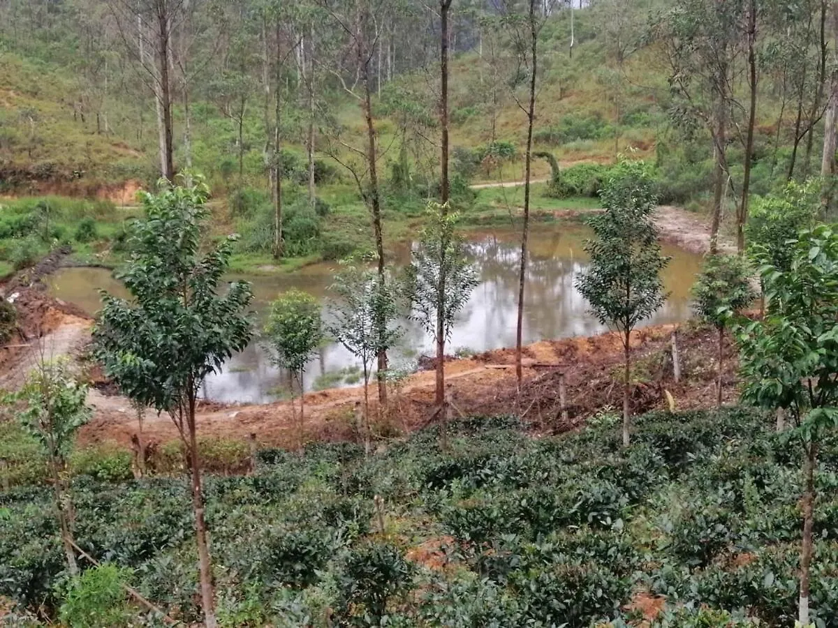 Yara Plantation Bungalow Adams Peak Maskeliya Hotel